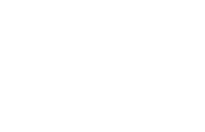 lesley walsh logo